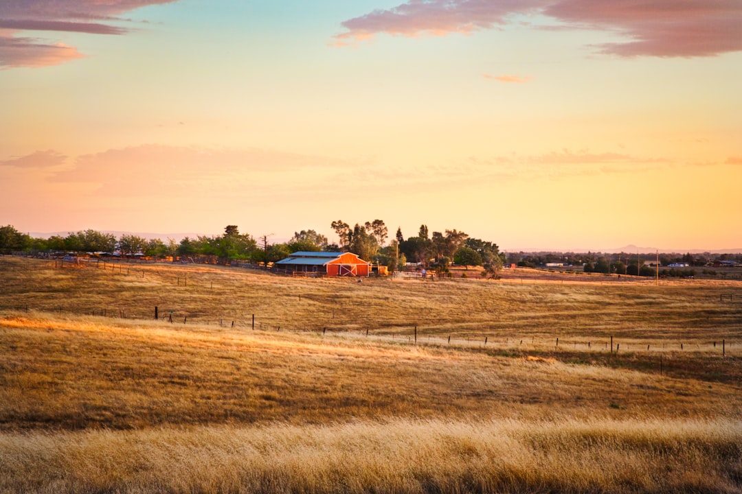 Photo Red barn